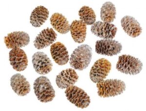 Čiekuri Meridianum 2,5- 3 cm , 200 gr / 200-401
