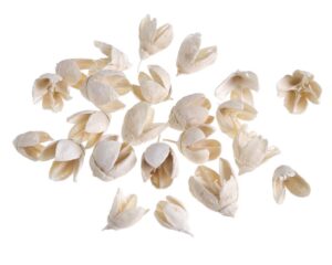 I012WPACZ_Bakuli wyb.-paczka 100g_150bag -002 Sausie augi - Bakuli 200 gr / 200-487