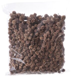 I046PACZ_Casurina pods_2-3cm_500g_nat Sausie augi -Casuarina pākstis 500 gr / 200-114