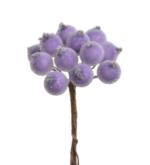 Ogas cukurotas 1,7cm, 12 gab / 120-39