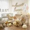 Folija balons - Bear , 43 x 53 cm  / 111-619