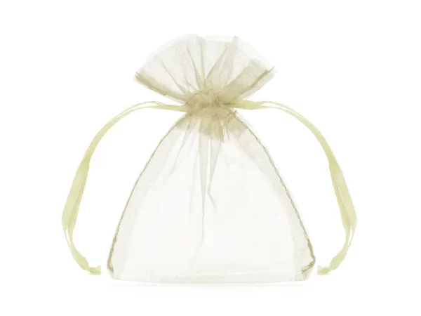Organzas maisiņš, 15*23 cm / 150-66