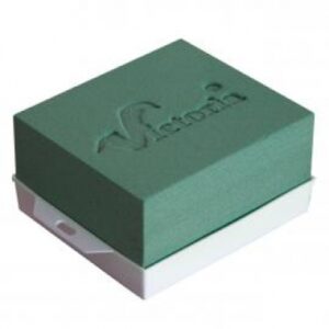 Oāze ar plastmasas paliktni 120-904/ 12x11 cm