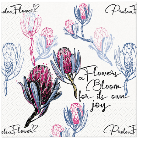 Papīra salvetes - Protea, 20 gab,  33 x 33 cm / 150-411