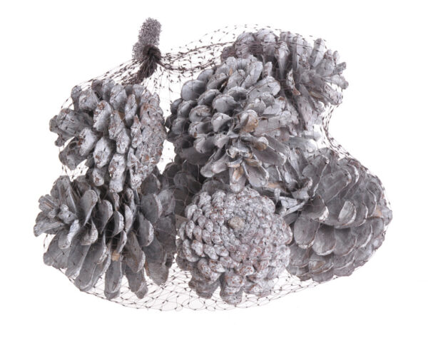 Priežu balināti čiekuri 7 cm, 8 gab. / 200-42