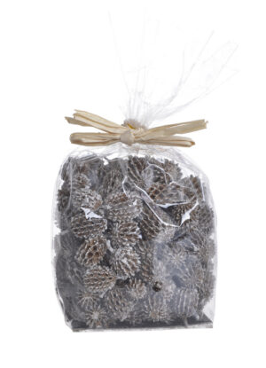 Sausie augi -Casuarina pākstis 8x6x10cm iepak. / 200-41