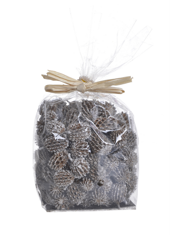 Sausie augi -Casuarina pākstis 8x6x10cm iepak. / 200-41