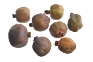 672b63f6553ba Granātāboli žāvēti , 4cm, 10 gab / 200-40