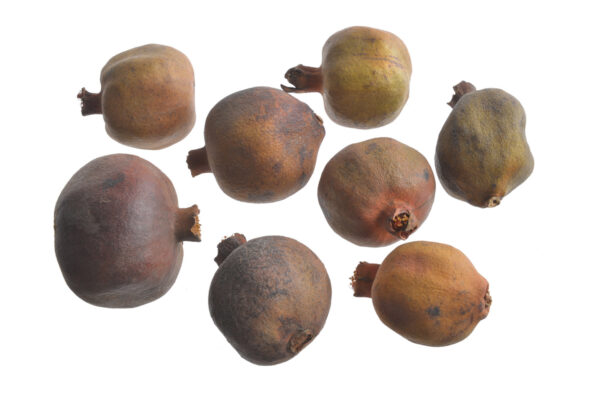 Granātāboli žāvēti , 4cm, 10 gab / 200-40