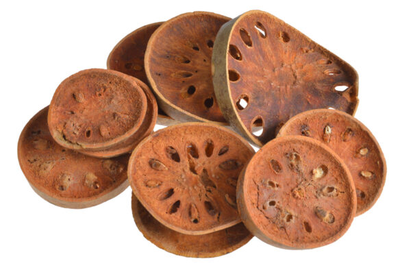 Sausie augi -Bell slices /zvaniņu šķēles/ - kaltēti augi 7-10 cm, 10 gab./ 200-39