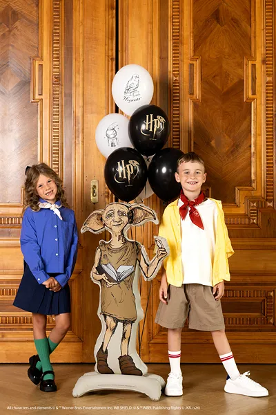Stāvošs folijas balons Harry Potter Dobby, 54x105 cm